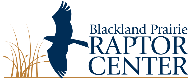 Blackland Prairie Raptor Center