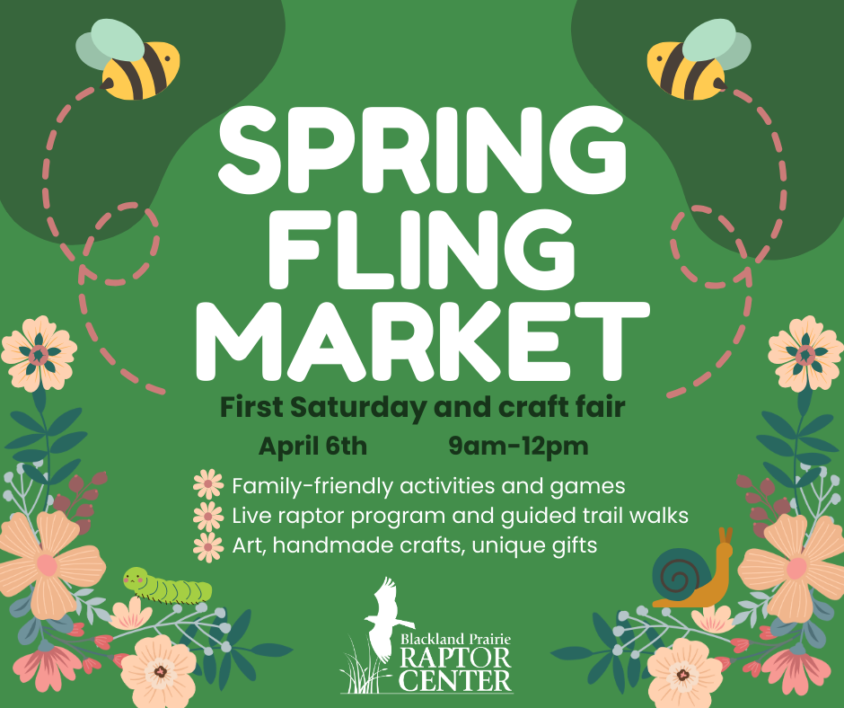 Spring Fling Market