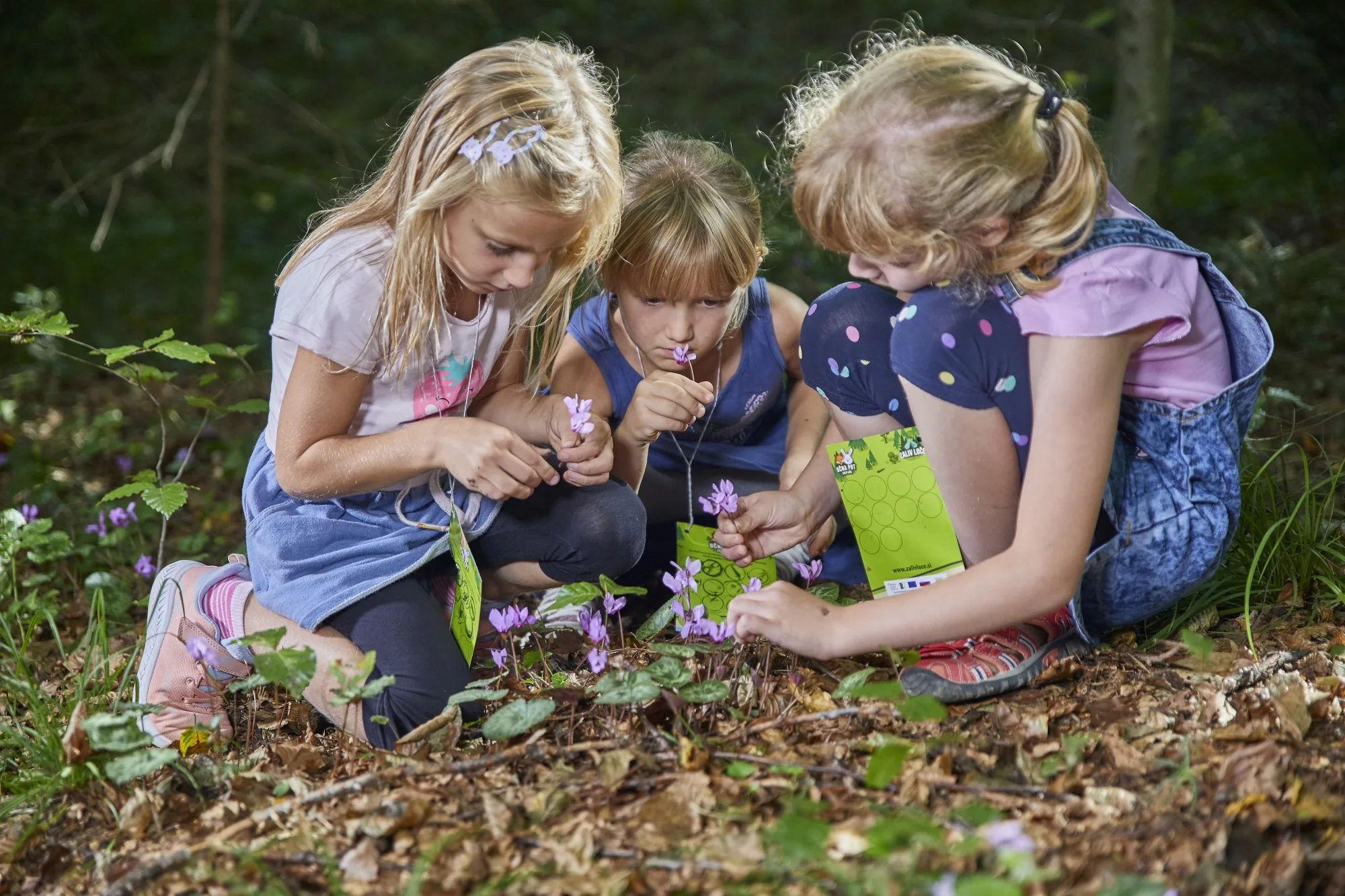 girls on hike in the woods