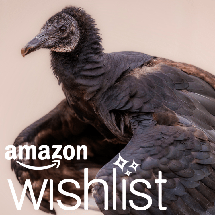 amazon wishlist for blackland prairie raptor center