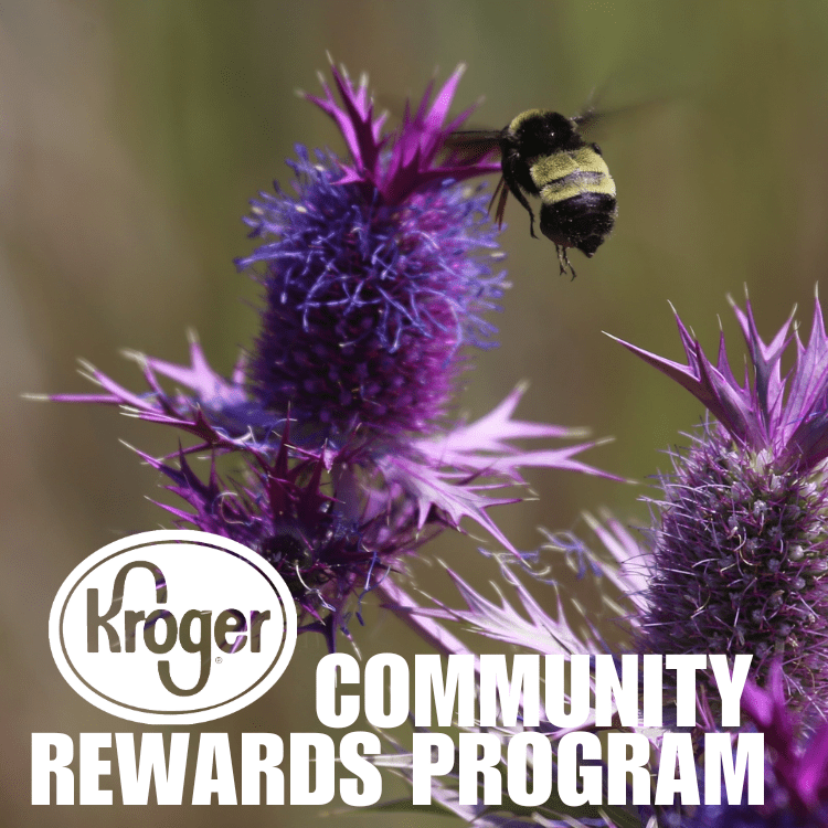 kroger community rewards