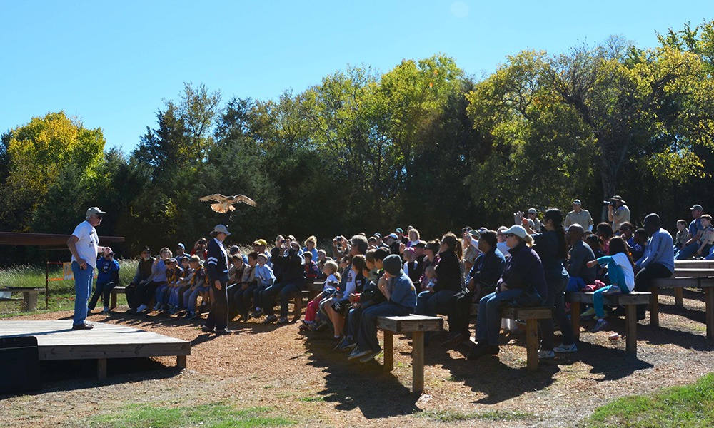 field trip at Blackland Prairie Raptor Center