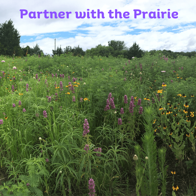 partner with the prairie