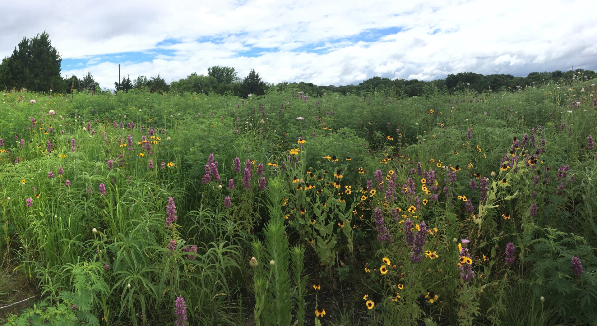 guided nature hike