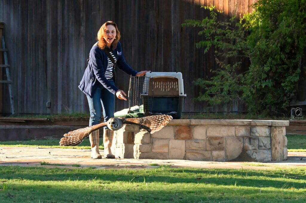 Sponsor a Raptor Release 1