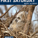 First Saturday March - Nest is Best 5