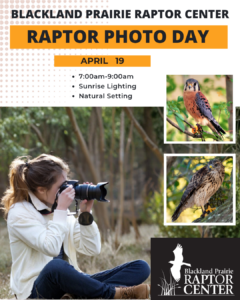 BPRC Raptor Photo Day April 5